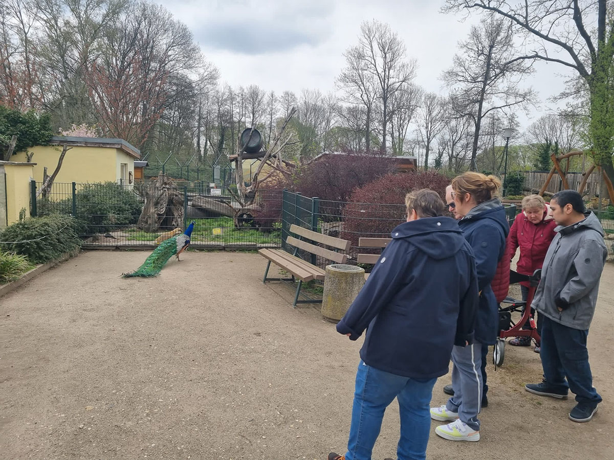 Besuch im Tierpark Delitzsch - 2024